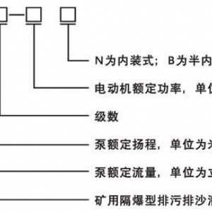 75kW礦用隔爆型排污排沙潛水電泵